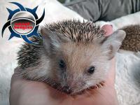 Bild 9/9