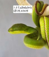 Bild 3/5