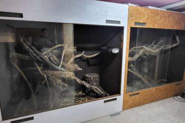 Enclosures kaufen und verkaufen Photo: Zu Verschenken zwei 2x2x1m Terrarien 