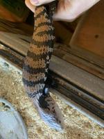 Bild 5/6
