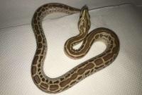Bild 7/8