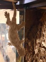 Bild 7/8