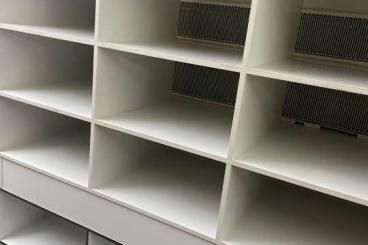 Schlangen kaufen und verkaufen Foto: Verschiedene Racks zu verkaufen wegen Komplettumbau Schlangen kaufen und verkaufen Foto: Verschiedene Racks zu verkaufen wegen Komplettumbau