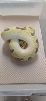 Bild 7/8