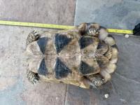 Bild 8/18