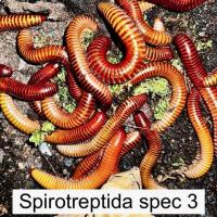 Bild 24/27