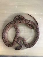 Bild 9/24