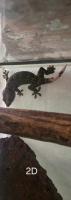 Bild 3/3