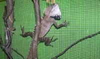 Bild 7/7