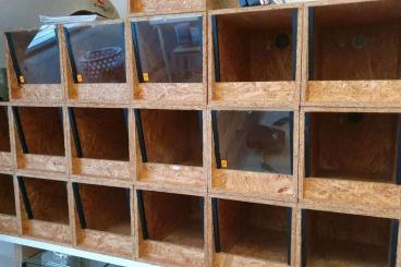 Enclosures kaufen und verkaufen Photo: For Hamm-OSB Terrarien - stabil mit Lichtquelle