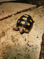 Bild 8/9