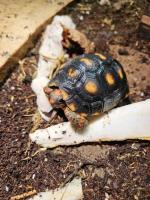 Bild 9/9