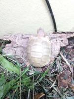 Bild 2/3