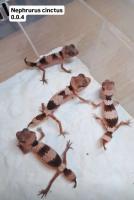 Bild 9/10