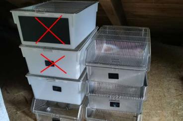 Zubehör kaufen und verkaufen Foto: 5x Nagerzuchtkäfig Makrolon Box T4 inkl. Trinkflaschen