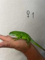 Bild 13/13