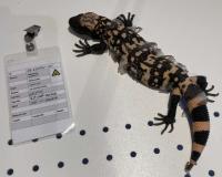 Bild 8/8