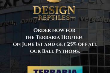 Snakes kaufen und verkaufen Photo: Ball Pythons / königspython Snakes kaufen und verkaufen Photo: Ball Pythons / königspython
