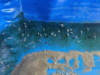 Bild 4/5