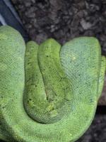 Bild 7/7