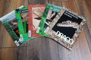 Books & Magazines kaufen und verkaufen Photo: Sammlung DRACO Terrarien Fachmagazin 14 Hefte Neuwertig