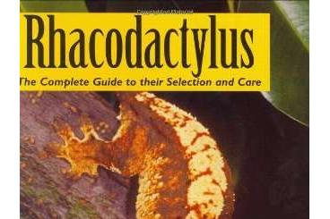 Books & Magazines kaufen und verkaufen Photo: Rhacodactylus - The Complete Guide to their Selection and Care Books & Magazines kaufen und verkaufen Photo: Rhacodactylus - The Complete Guide to their Selection and Care