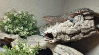 Bild 5/5