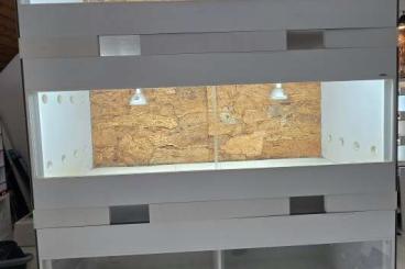 Enclosures kaufen und verkaufen Photo: 3x 150x60x60cm Forex Terrarium