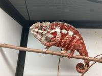 Bild 13/15