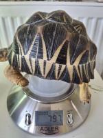 Bild 4/7