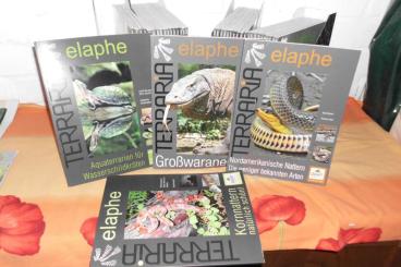 Literatur kaufen und verkaufen Foto: "Terraria / elaphe", herpetologische Fachzeitschrift