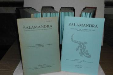 Literatur kaufen und verkaufen Foto: SALAMANDRA, Zeitschrift für Herpetologie und Terraienkunde