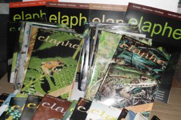 Literatur kaufen und verkaufen Foto: "elaphe", Zeitschrift für Terraristik, Naturschutz und Forschung