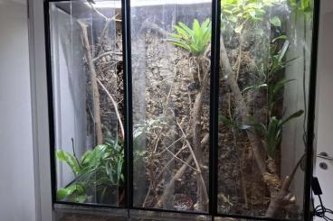 Terrarien kaufen und verkaufen Foto: Für selbstabholer in berlin Terrarien kaufen und verkaufen Foto: Für selbstabholer in berlin