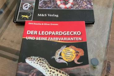 Books & Magazines kaufen und verkaufen Photo: Fachbücher 1x Leopardgeckos 1x Albino
