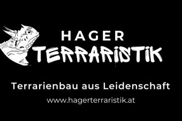 Terrarien kaufen und verkaufen Foto: Alusteck Terrarien made in Österreich Terrarien kaufen und verkaufen Foto: Alusteck Terrarien made in Österreich