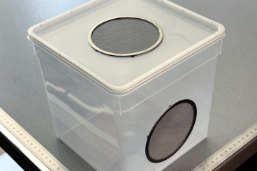 Insekten kaufen und verkaufen Foto: Boxes with stainless steel ventilation ring 