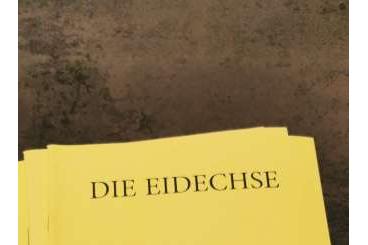 Literatur kaufen und verkaufen Foto: Die Eidechse Einzelhefte + ganze Jahrgänge