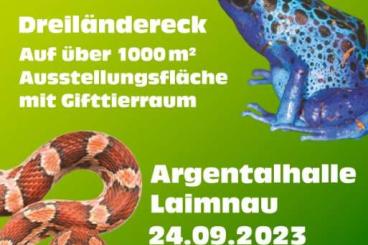 Snakes kaufen und verkaufen Photo: Reptilienbörse Dreiländereck 