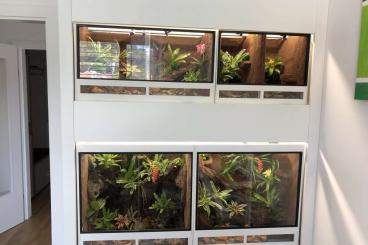 Terrarien kaufen und verkaufen Foto: Terrarienregal abzugeben (Graz) Terrarien kaufen und verkaufen Foto: Terrarienregal abzugeben (Graz)