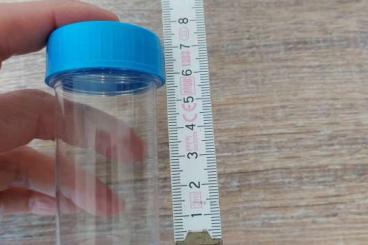 Supplies kaufen und verkaufen Photo: 20 Spiderlingdosen neuwertig Supplies kaufen und verkaufen Photo: 20 Spiderlingdosen neuwertig