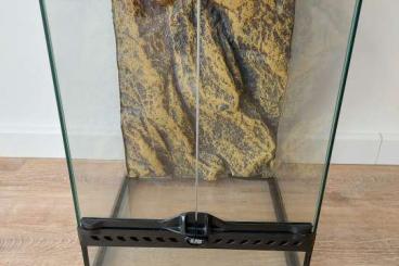 Terrarien kaufen und verkaufen Foto: Exo Terra Terrarien guter Zustand Terrarien kaufen und verkaufen Foto: Exo Terra Terrarien guter Zustand