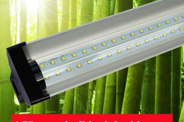 Supplies kaufen und verkaufen Photo: LED Vollspektrum-Leuchtbalken zu Bestpreisen für dein Terrarium