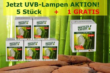 Supplies kaufen und verkaufen Photo: Jetzt UVB-Lampen 5 + 1 GRATIS Aktion! www.reptilesexpert.com