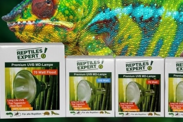 Zubehör kaufen und verkaufen Foto: UV Terrarienlampen Multipacks günstig kaufen Zubehör kaufen und verkaufen Foto: UV Terrarienlampen Multipacks günstig kaufen