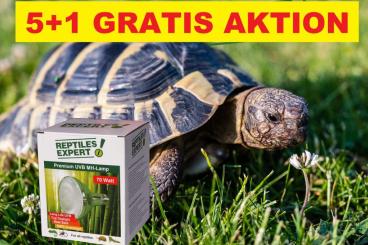 Supplies kaufen und verkaufen Photo: JETZT UV-Lampen 5+1 GRATIS Aktion Supplies kaufen und verkaufen Photo: JETZT UV-Lampen 5+1 GRATIS Aktion