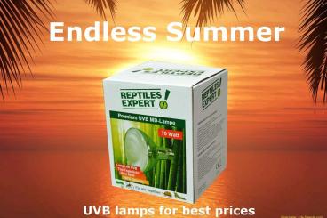 Supplies kaufen und verkaufen Photo: UVB Lampen zu Bestpreisen von Reptiles Expert