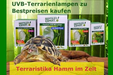 Zubehör kaufen und verkaufen Foto: UVB Lampen zu Bestpreisen bei der Terraristika in HAMM