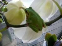 Bild 3/5