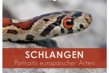 Books & Magazines kaufen und verkaufen Photo: Wandkalender 2024 • SCHLANGEN • europäische Arten • NEU